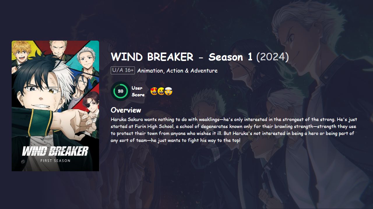 WIND BREAKER Season 1 Hindi Dubbed