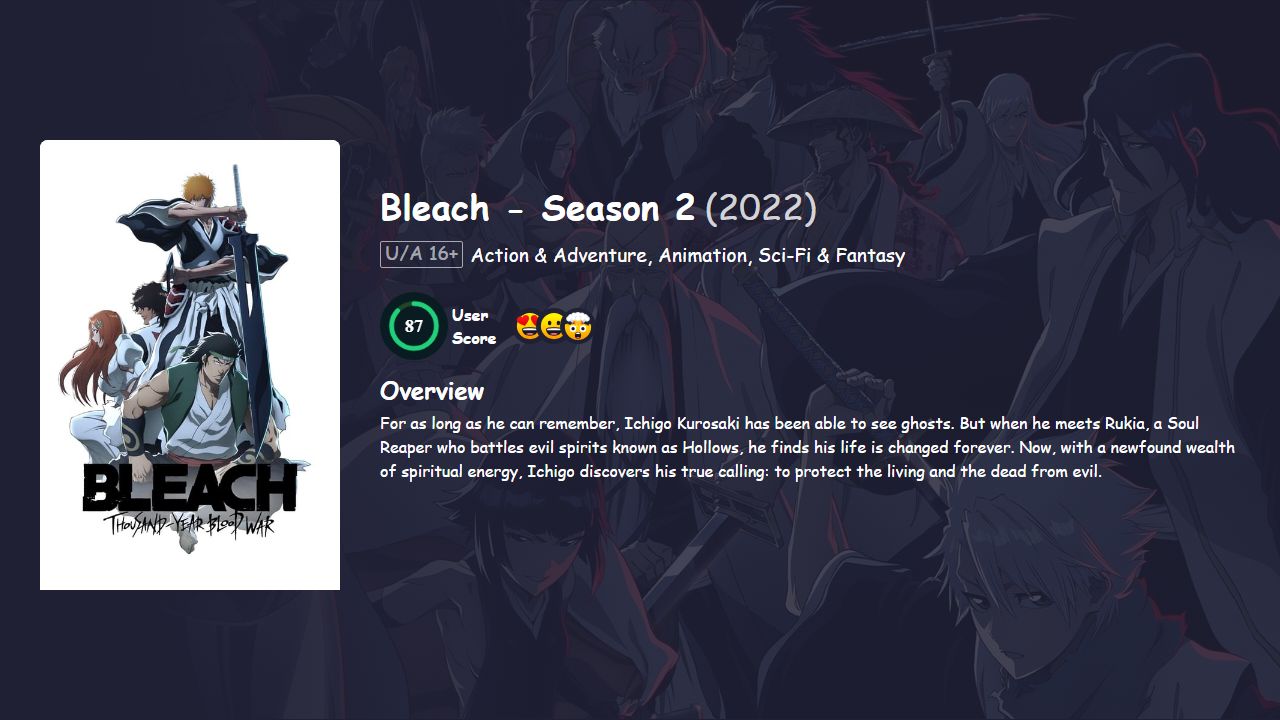 Bleach Season 2 Hindi Dubbed