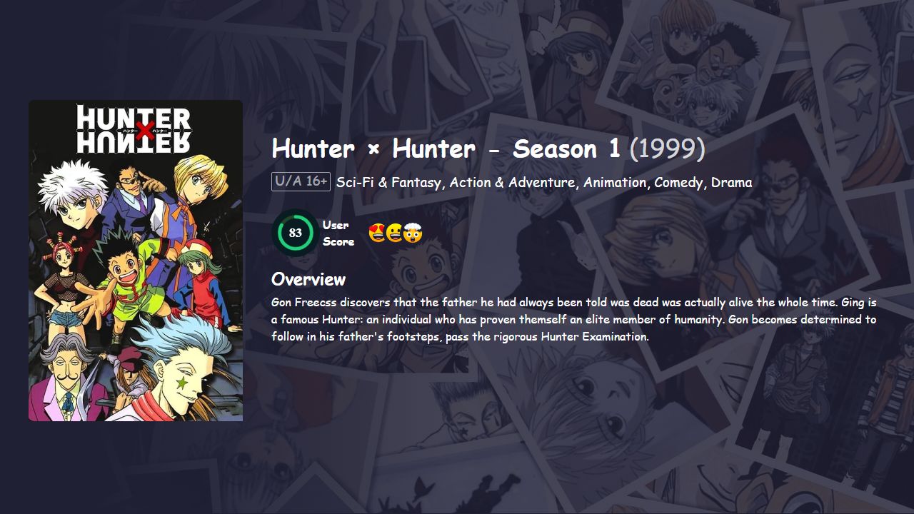 Hunter × Hunter Season 1 Hindi Dubbed