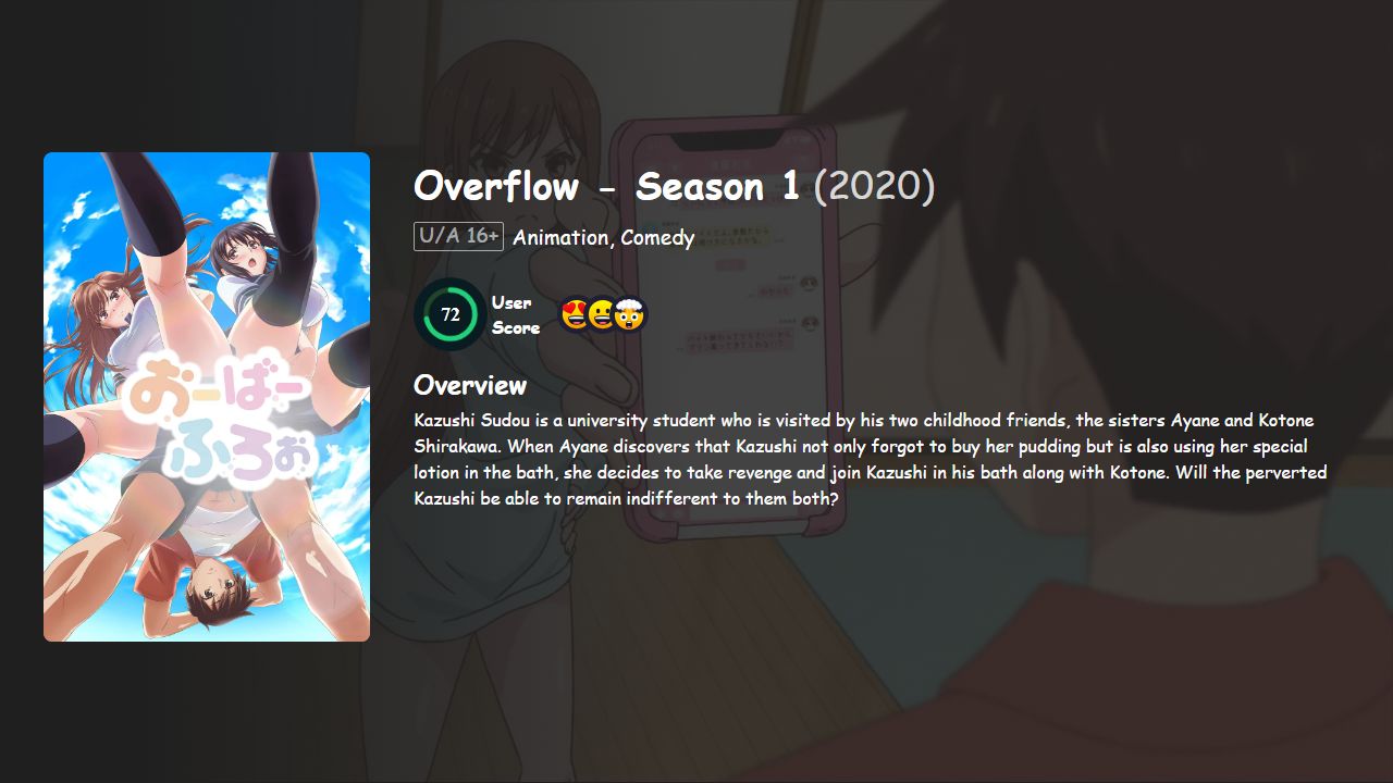 Overflow Season 1 Hindi-Japanese Dubbed