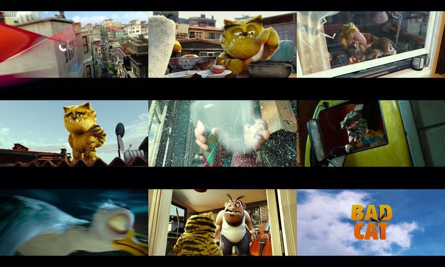 Bad Cat (2016)