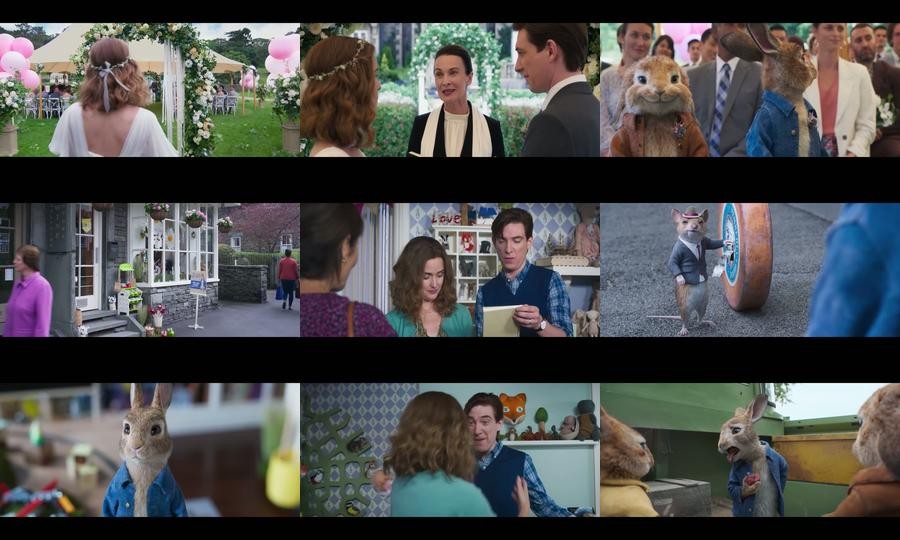 Peter Rabbit 2: The Runaway (2021)