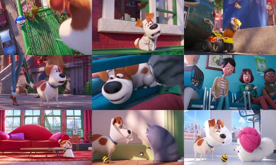 The Secret Life of Pets 2 (2019)