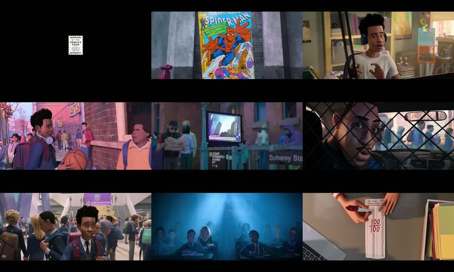 Spider-Man: Into the Spider-Verse (2018)